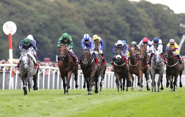 The ground at Haydock could go against the market leaders